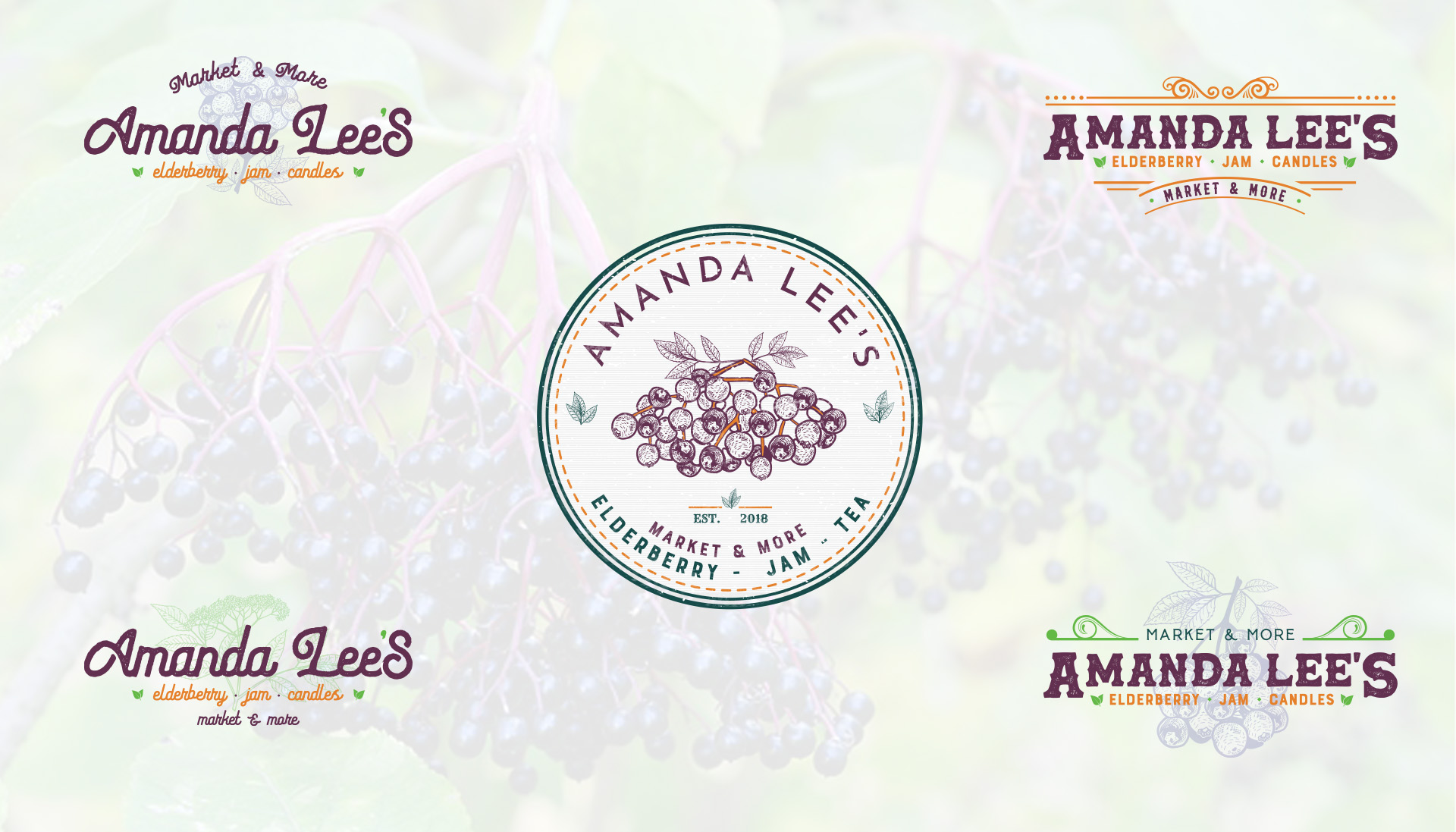 Project image of Amanda Lee's