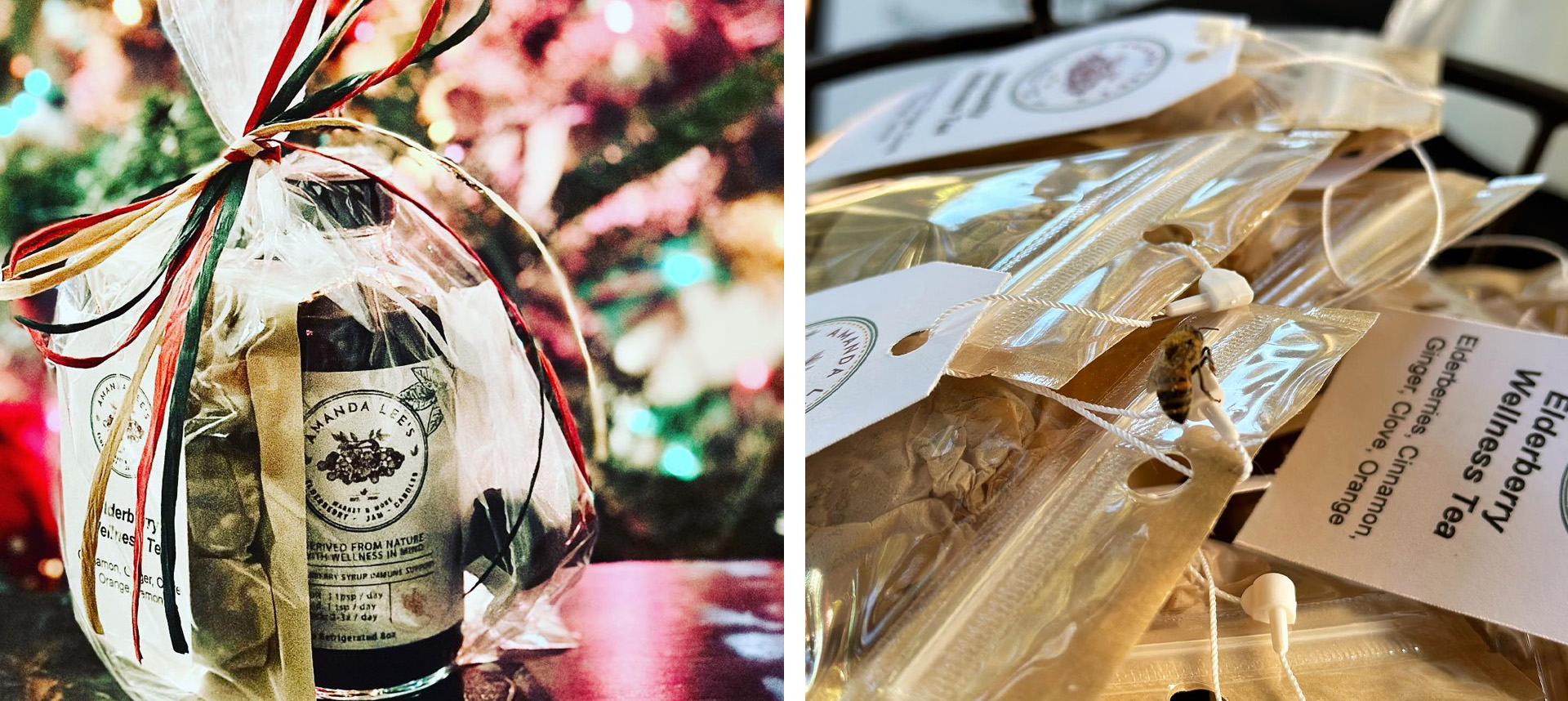 Project image of Amanda Lee's